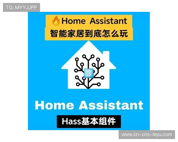 平台探索与智能家居系统深度融合计费